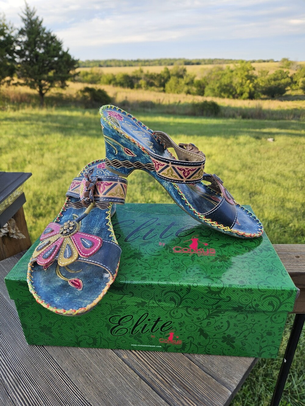 Elite by Corkys Jamaica Leather Sandals 9 Blue Jean Floral Hippie Boho Wedges